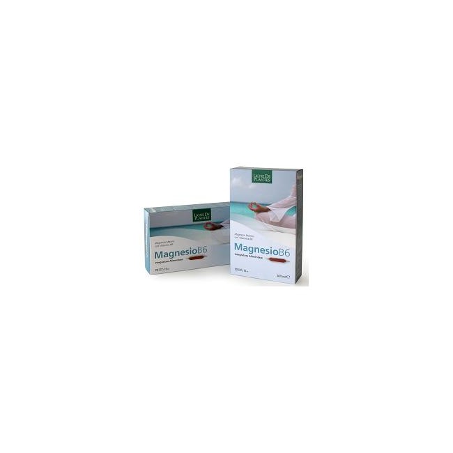 Natura Service Magnesio B6 20 Ampolle Bevibili Da 15 Ml