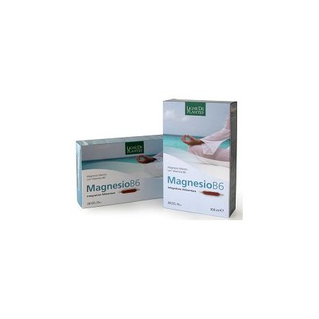 Natura Service Magnesio B6 20 Ampolle Bevibili Da 15 Ml Natura Service Magnesio B6 20 Ampolle Bevibili Da 15 Ml