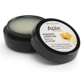 Bios Line Apix Propoli Pomata Lenitiva Naso Labbra 8 Ml Biosline