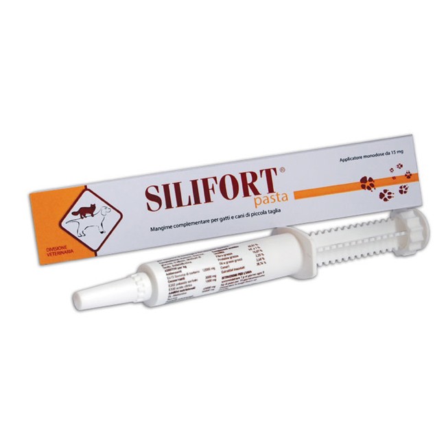 Ddfarma Silifort Pasta Soluzione Orale Siringa 30 G Ddfarma Silifort Pasta Soluzione Orale Siringa 30 G