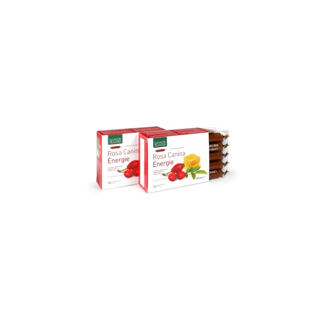 Natura Service Rosa Canina Energie Biologico 10 Ampolle Bevibili Da 10 Ml Natura Service Rosa Canina Energie Biologico 10 Ampolle Bevibili Da 10 Ml