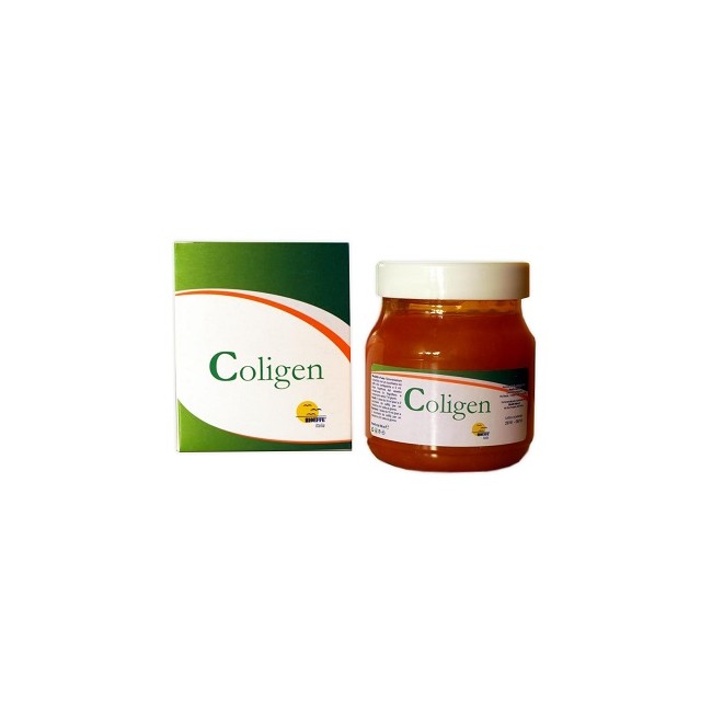 Bioeffe Coligen Gel 150 Ml Bioeffe Coligen Gel 150 Ml