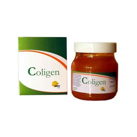 Bioeffe Coligen Gel 150 Ml Bioeffe Coligen Gel 150 Ml