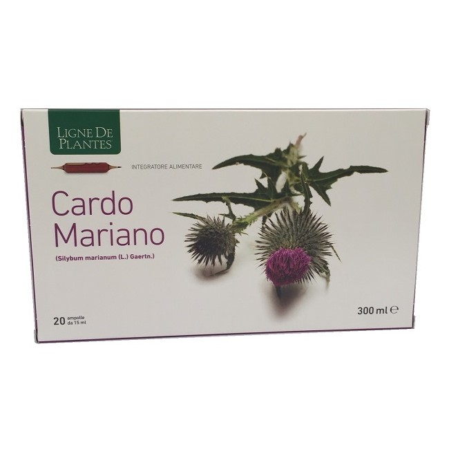 Natura Service Cardo Mariano 20 Ampolle Bevibili Da 15 Ml Natura Service Cardo Mariano 20 Ampolle Bevibili Da 15 Ml