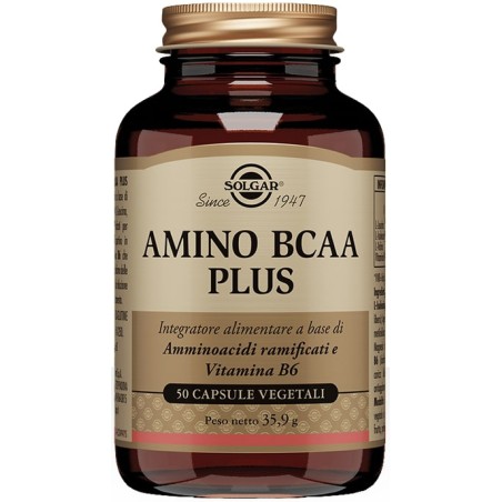 Solgar Amino Bcaa Plus 50 Capsule