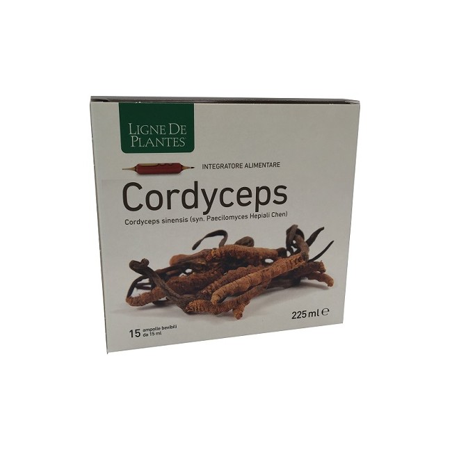 Natura Service Cordyceps 15 Ampolle Bevibili Da 15 Ml Natura Service Cordyceps 15 Ampolle Bevibili Da 15 Ml
