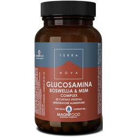 Forlive Terranova Complesso Di Glucosamina Boswellia E Msm 50 Capsule