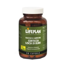 Lifeplan Corteccia Liscia Di Olmo 50 Capsule