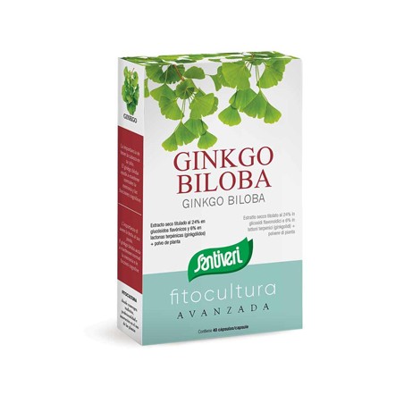 Santiveri Ginkgo Biloba 40 Capsule