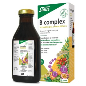 Salus Haus B Complex Salus 250 Ml
