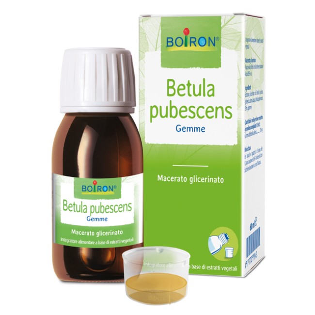 Betula Pubesc Boiron Macerato Glicerico 60 Ml Betula Pubesc Boiron Macerato Glicerico 60 Ml