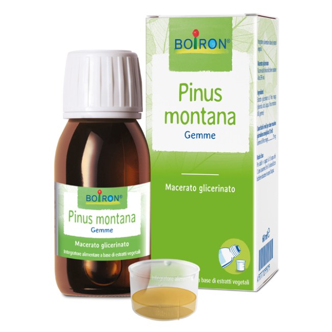 Pinus Montana Boiron Macerato Glicerico 60 Ml Pinus Montana Boiron Macerato Glicerico 60 Ml
