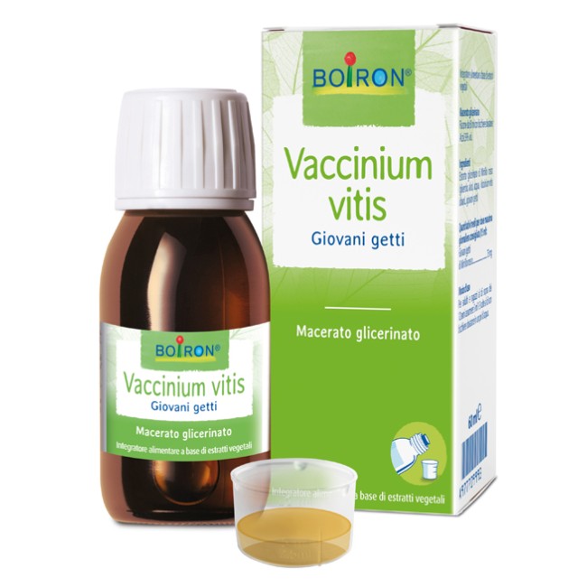 Boiron Vaccinium Vitis Macerato Glicerico 60 Ml Boiron Vaccinium Vitis Macerato Glicerico 60 Ml