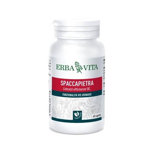 Erba Vita Spaccapietra 60 Capsule Erba Vita Spaccapietra 60 Capsule