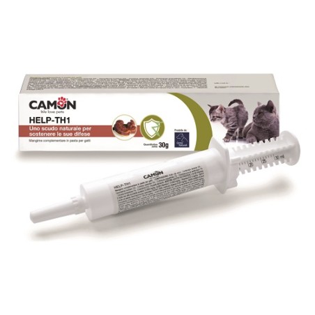 Camon Help-th1 Pasta Siringa 30 G Camon Help-th1 Pasta Siringa 30 G