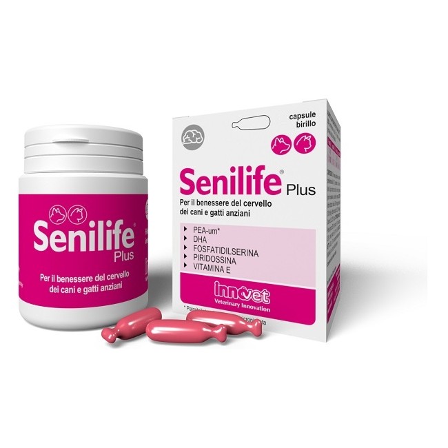 Innovet Senilife Plus 30 Capsule Innovet Senilife Plus 30 Capsule