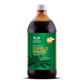 Salugea Succo Olivello Bio 500 Ml