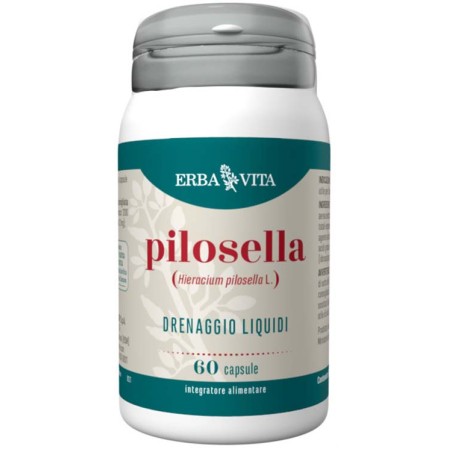 Erba Vita Pilosella 60 Capsule