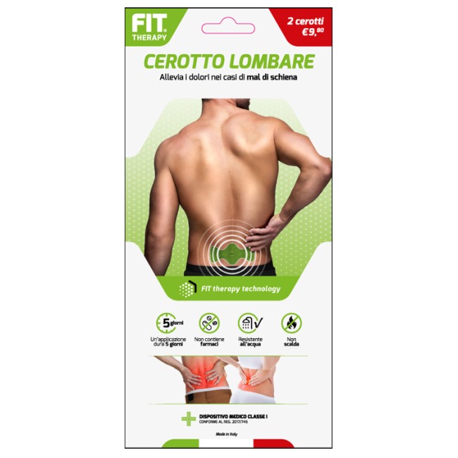 D. Fenstec Fit Therapy Cerotto Lombare 2 Pezzi D. Fenstec Fit Therapy Cerotto Lombare 2 Pezzi