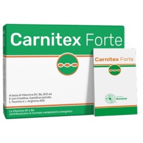Anvest Health Soc. Benefit Carnitex Forte 14 Bustine