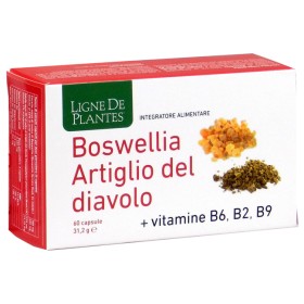 Natura Service Boswellia Artiglio Diavolo Vitamine B2 B6 B9 60 Capsule