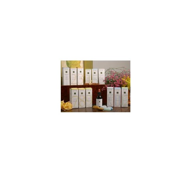Santiveri Zef11 Calma Plant Stv Santiveri Zef11 Calma Plant Stv