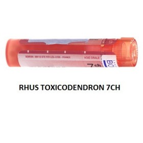 Boiron Rhus Tox Boi 7ch Gr 4g
