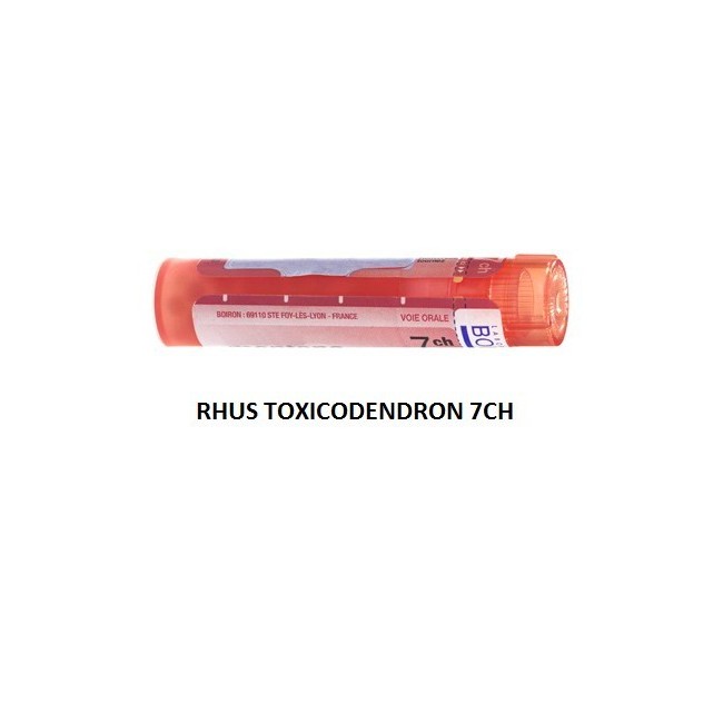 Boiron Rhus Tox Boi 7ch Gr 4g