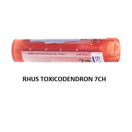 Boiron Rhus Tox Boi 7ch Gr 4g