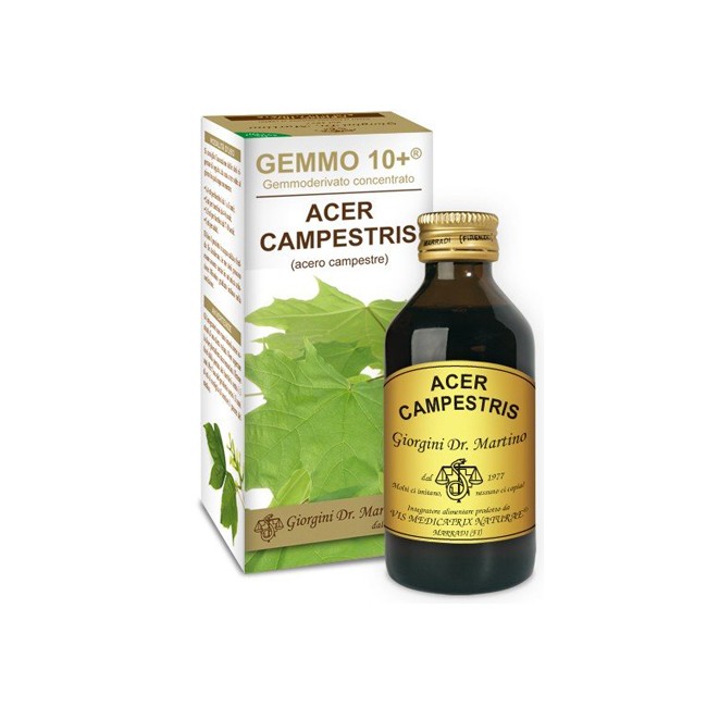 Dr. Giorgini Gemmo 10+ Acero Campestre 100 Ml Liquido Analcolico Dr. Giorgini Gemmo 10+ Acero Campestre 100 Ml Liquido Analcolico