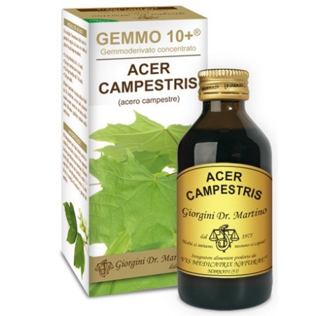 Dr. Giorgini Gemmo 10+ Acero Campestre 100 Ml Liquido Analcolico Dr. Giorgini Gemmo 10+ Acero Campestre 100 Ml Liquido Analcolico