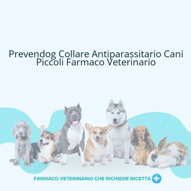 Prevendog 0.636 G Collare Medicato Per Cani Molto Piccoli Prevendog 0.636 G Collare Medicato Per Cani Molto Piccoli