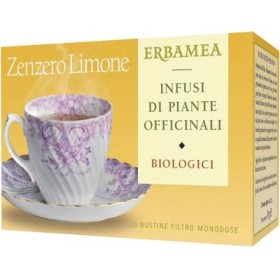 Erbamea Zenzero/lim Bio 20 Bustine 30 G
