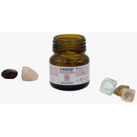 Vegetal Progress Co Magnesium 30 Capsule