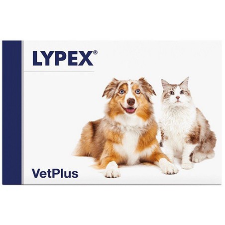 Vetplus Lypex 60 Capsule