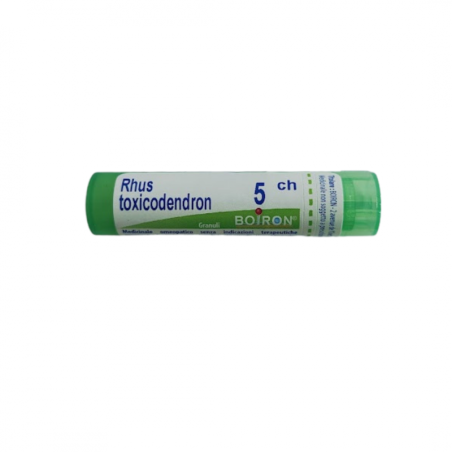 Boiron Nux Vomica 9CH Granuli omeopatici 4 g Boiron Nux Vomica 9CH Granuli omeopatici 4 g
