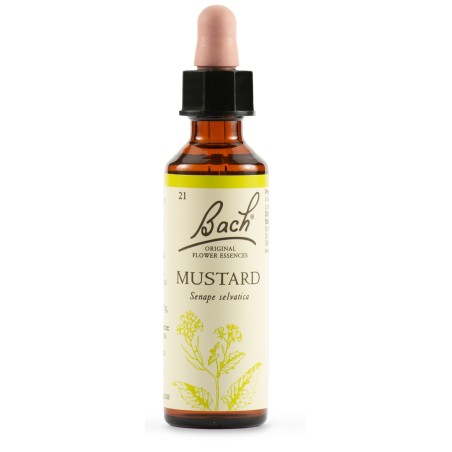Schwabe Pharma Mustard Bach Orig 20 Ml Schwabe Pharma Mustard Bach Orig 20 Ml