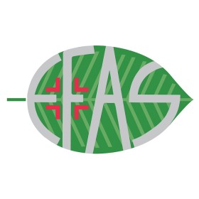 E. F. A. S. Ha100 Acido Ialuronico 100% 30 Ml