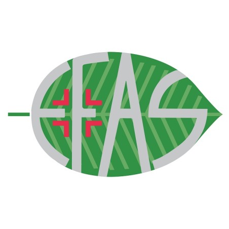 E. F. A. S. Ha100 Acido Ialuronico 100% 30 Ml