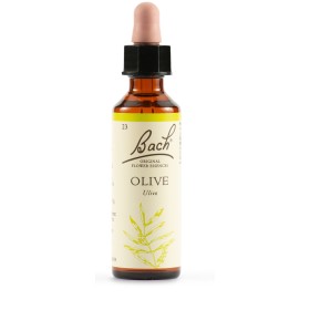 Schwabe Pharma Olive Bach Orig 20 Ml