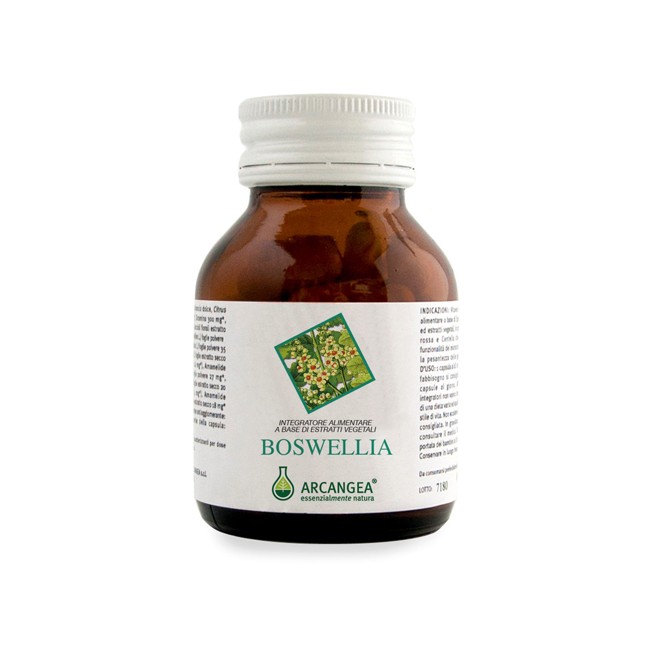 Arcangea Boswellia 60 Capsule Arcangea Boswellia 60 Capsule