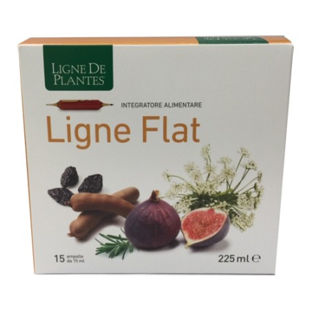 Natura Service Ligne Flat 15 Ampolle Bevibili Da 15 Ml Natura Service Ligne Flat 15 Ampolle Bevibili Da 15 Ml