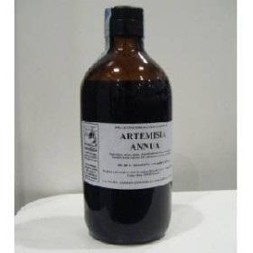 ARTEMISIA ANNUA 500ML TM
