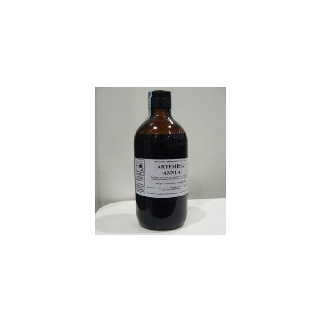 ARTEMISIA ANNUA 500ML TM ARTEMISIA ANNUA 500ML TM