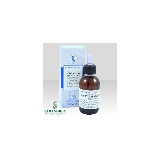 Sarandrea Vaccinium Myrtillus 100 Ml Macerato Glicerico Sarandrea Vaccinium Myrtillus 100 Ml Macerato Glicerico