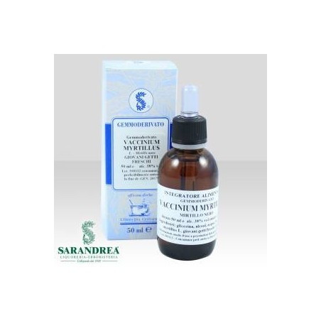 Sarandrea Vaccinium Myrtillus 100 Ml Macerato Glicerico Sarandrea Vaccinium Myrtillus 100 Ml Macerato Glicerico