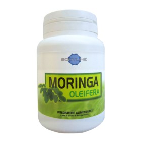 Bodyline Moringa Oleifera 60 Capsule