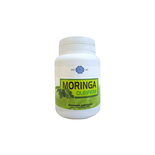Bodyline Moringa Oleifera 60 Capsule Bodyline Moringa Oleifera 60 Capsule