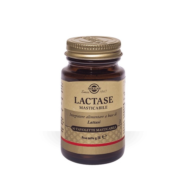 Solgar Lactase Masticabile 30 Tavolette Solgar Lactase Masticabile 30 Tavolette