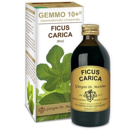 Dr. Giorgini Gemmo 10+ Fico Liquido Analcolico 200 Ml